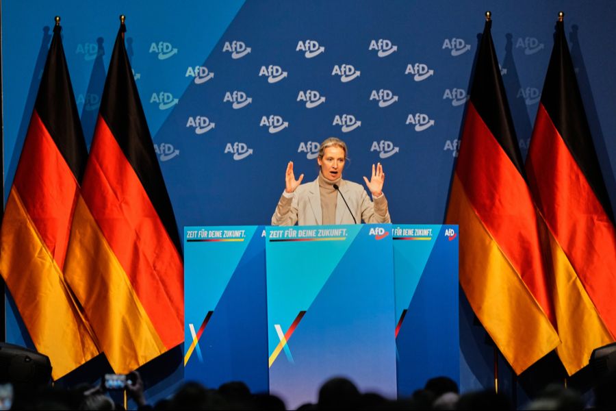 Beim Kongress in Giessen war auch die Parteispitze anwesend, hier Alice Weidel.