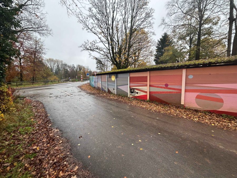 Die Täterschaft verursachte diverse Unfälle.