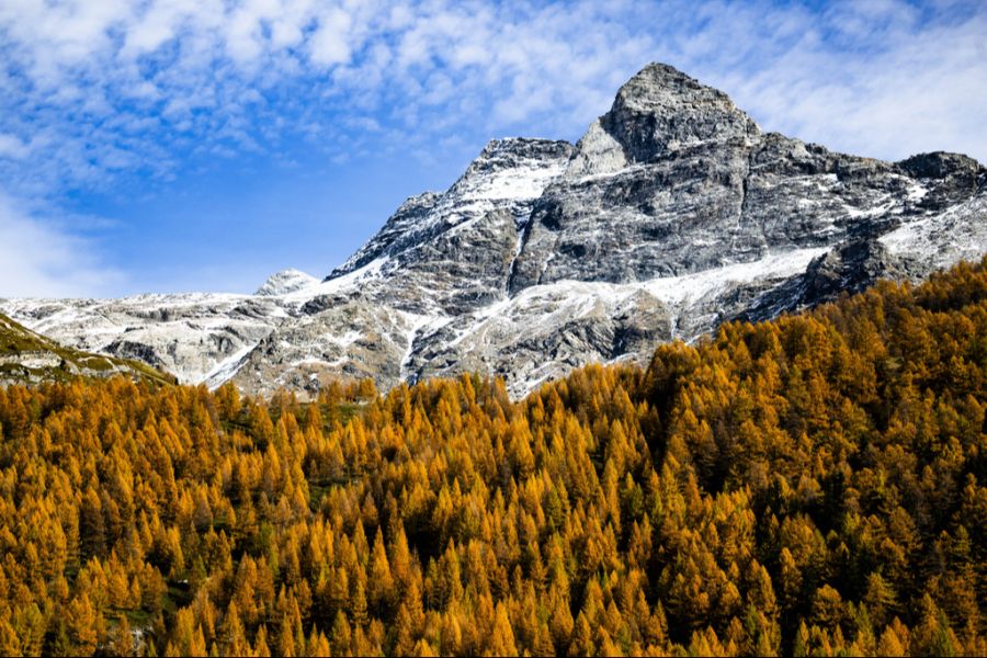 Prächtiger Herbst: Das November-Wetter zeigt sich bislang von seiner schönsten Seite.