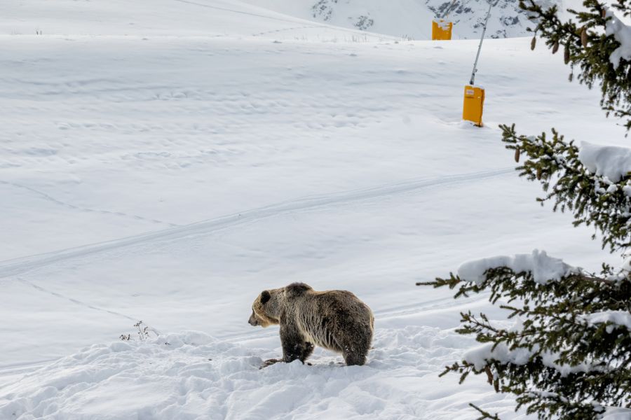 Sam sorgt derweil mit seinem Foto für Aufregung.