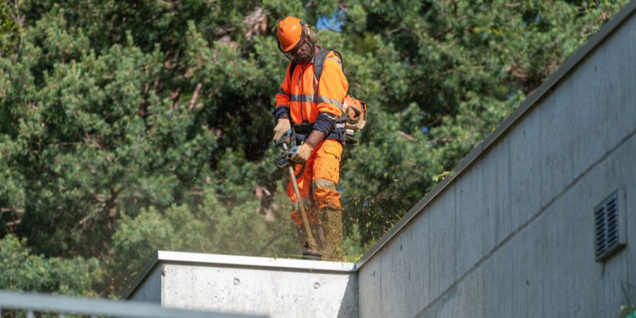 gemeinnützige Arbeit Haftstrafe Busse
