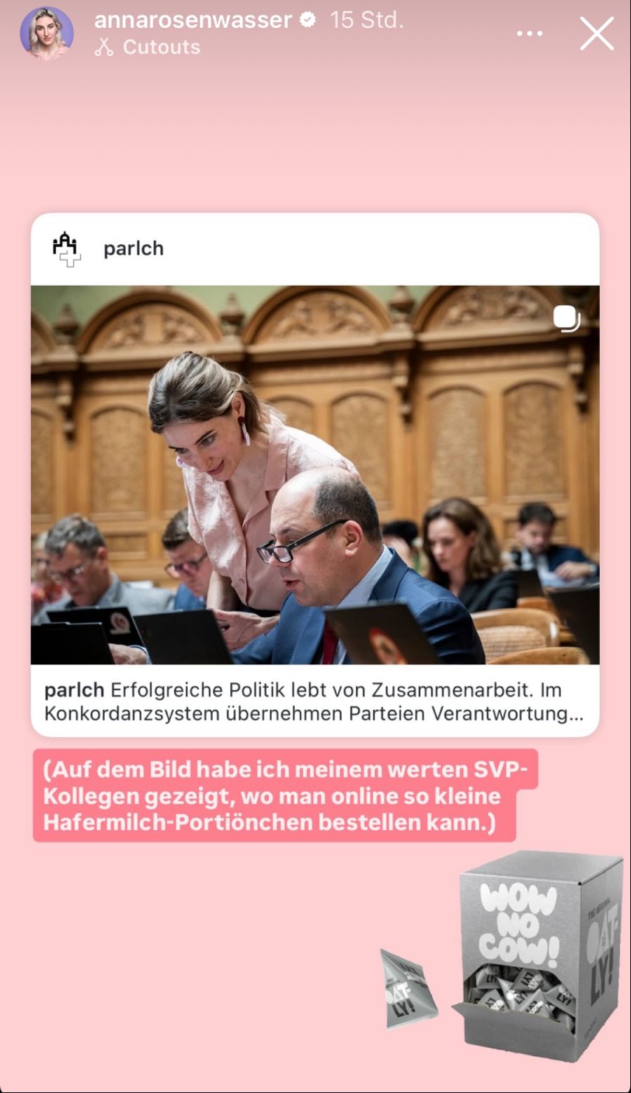 SP-Nationalrätin Anna Rosenwasser verriet auf Instagram, warum sie bei SVP-Nationalrat Mauro Tuena am Laptop stand.