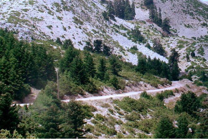 PATIOPOULO-PERDIKAKI ROAD