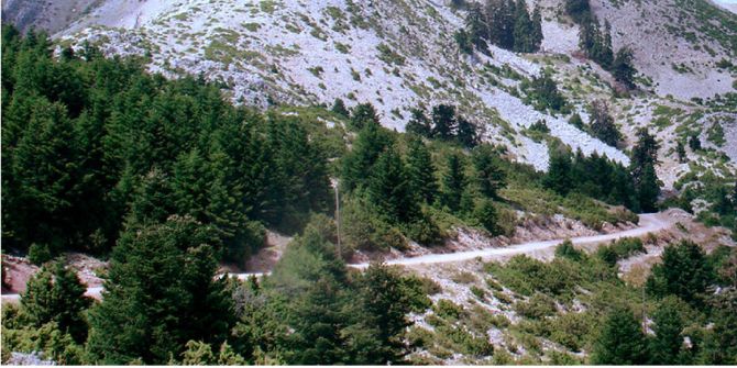 PATIOPOULO-PERDIKAKI ROAD