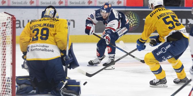 ZSC Lions HC Davos