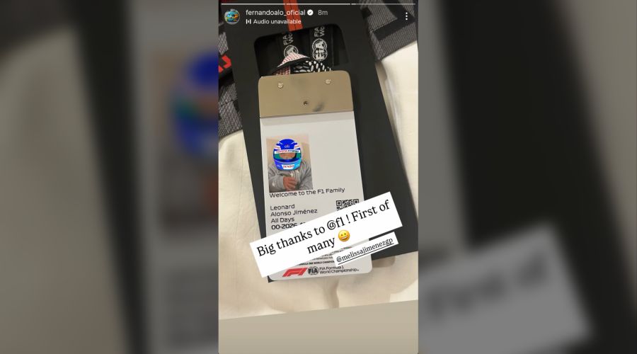 Fernando Alonso Formel 1