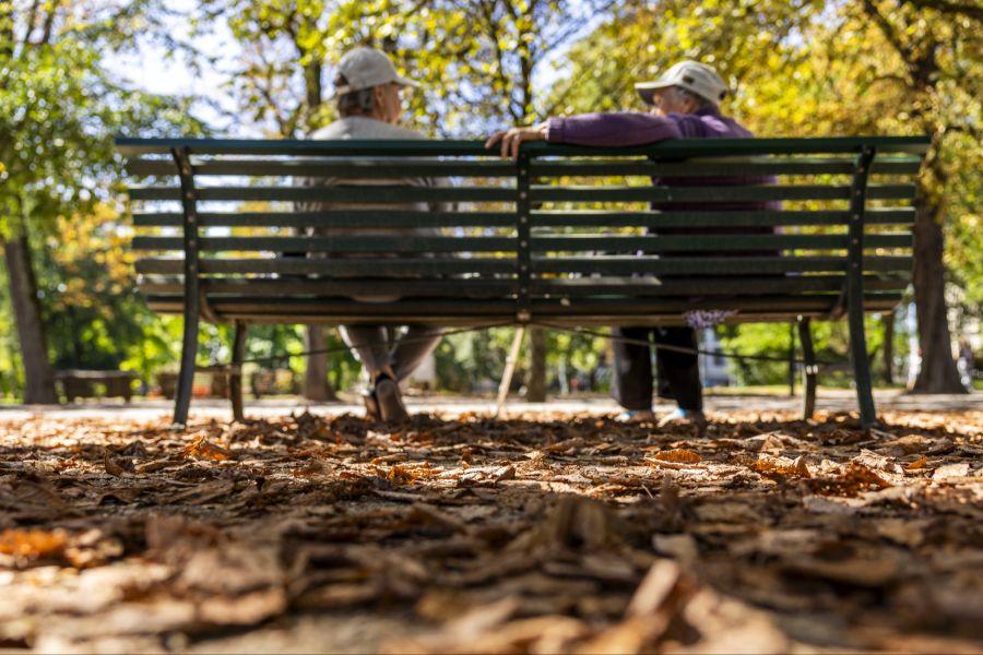 Diese Ergebnisse könnten nun gezielt genutzt werden, so die Forschenden.
