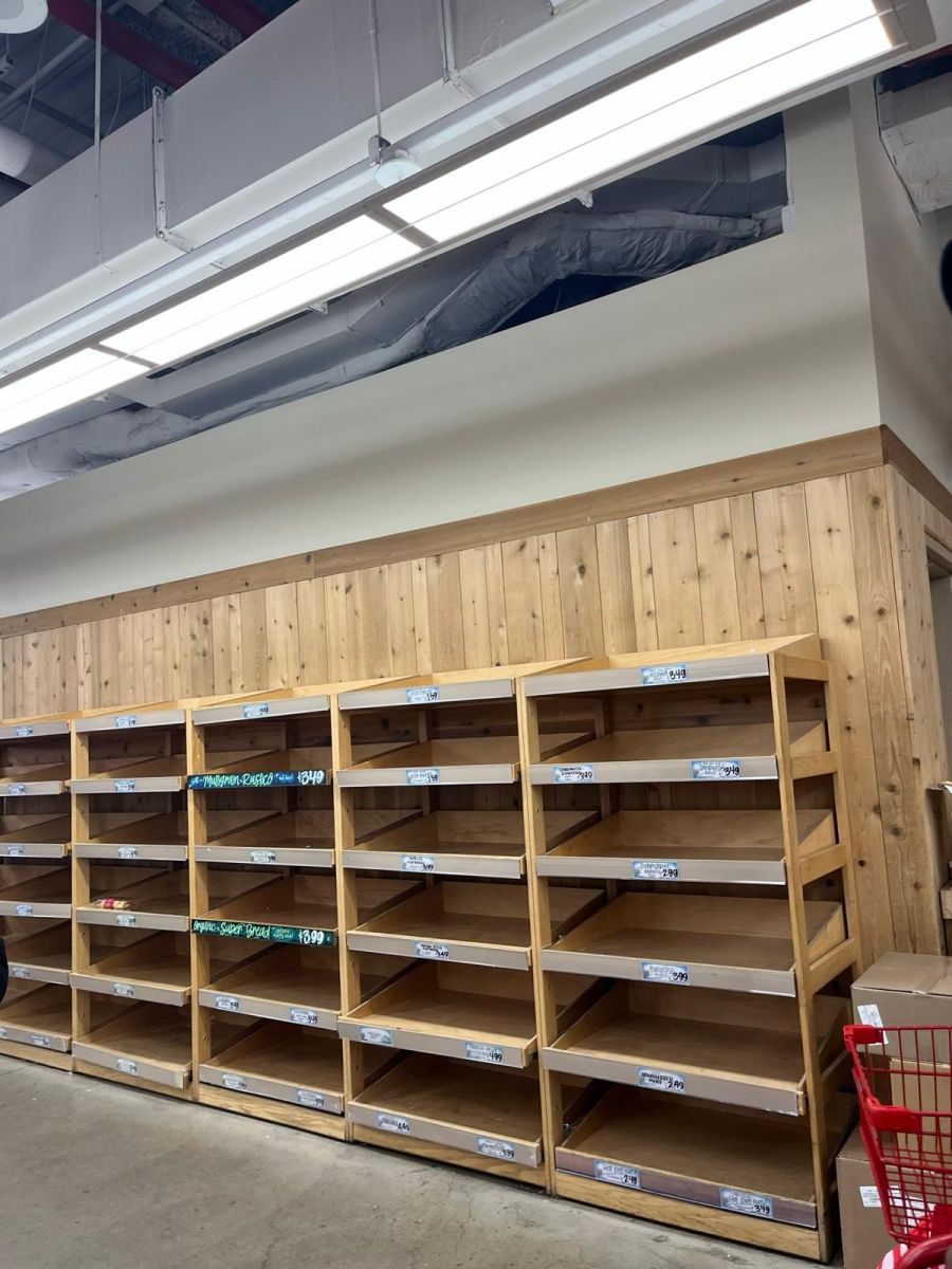 Auch das Brot-Regal in Jasmins Quartier in Brooklyn ist leergekauft.