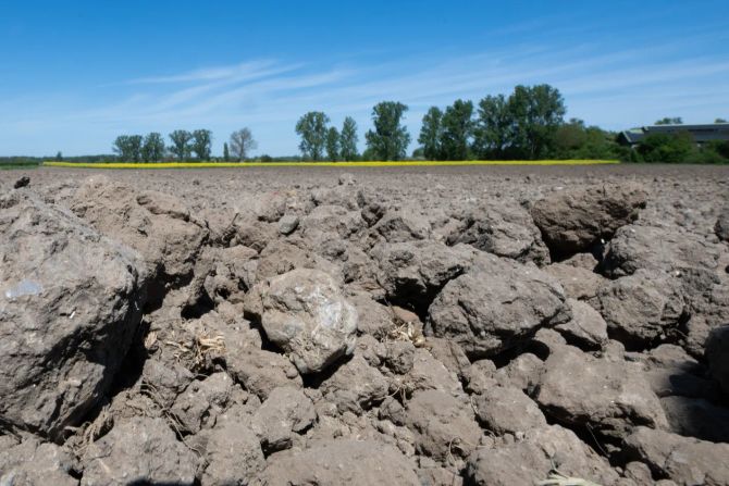 Trockenheit in Deutschland