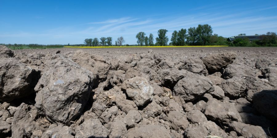 Trockenheit in Deutschland