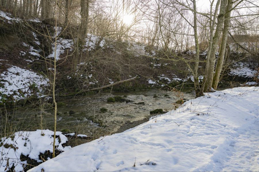 Erst vor Kurzem sind im Fluss Wyna bei Beromünster (LU) extrem hohe Werte des Insektizids Deltamethrin festgestellt worden. (Archivbild)
