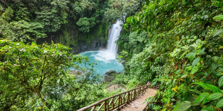 Dschungel Costa Rica Holztreppe Wasserfall