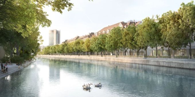 Zürich - Klimaschützer wollen Kastanienbäume am Neumühlequai retten