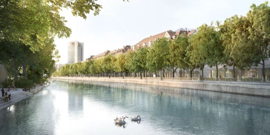 Neue Bäume für Zürich