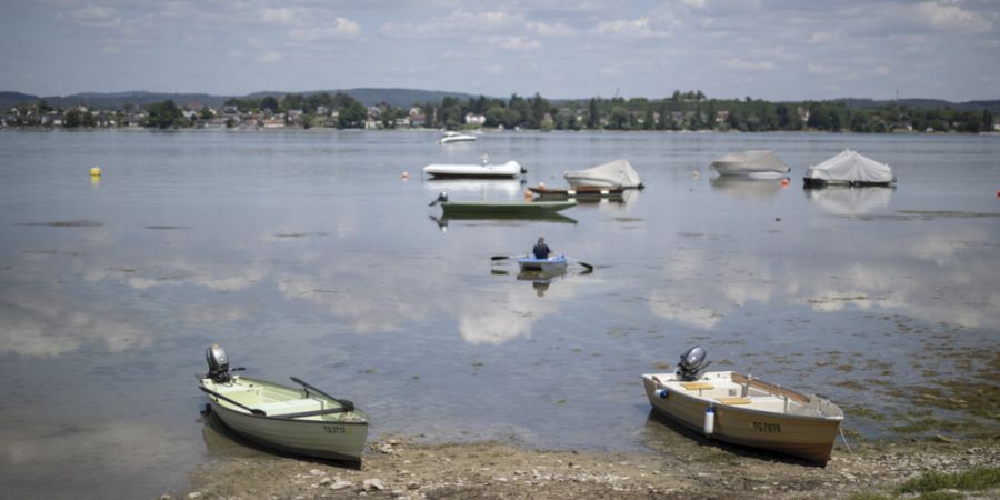Die anhaltende Hitzeperiode und Trockenheit lässt die Wasserstände der Schweizer Seen - hier am Bodensee/Untersee - markant sinken.