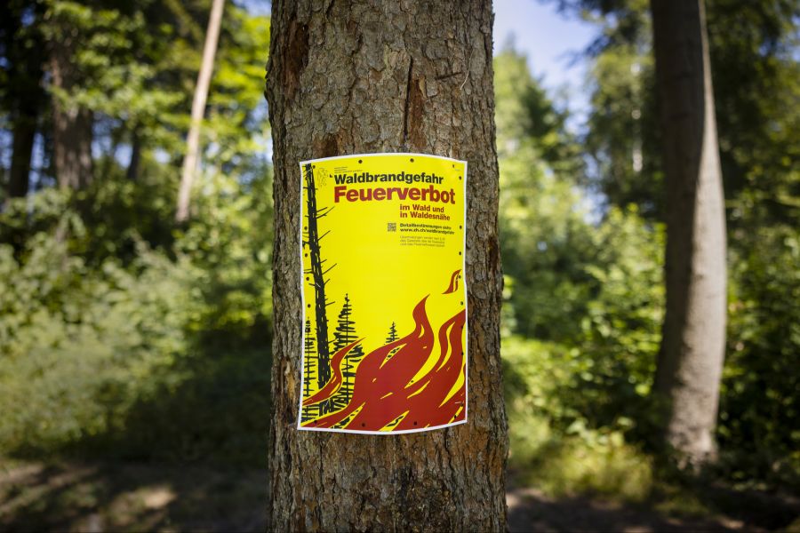 Zahlreiche Regionen warnen eindringlich vor spontan abbrechenden Ästen.