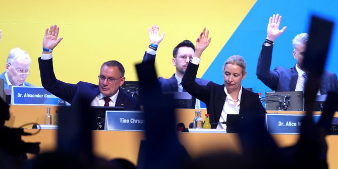 AfD Parteitag