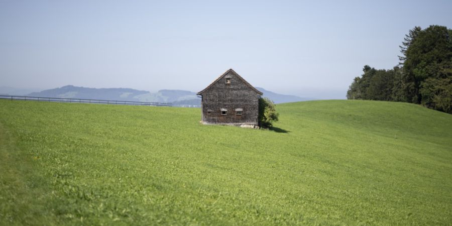 Bauernhöfe mit Böden, dîe mit der Chemikalie PFAS belastet sind, sollen im Kanton St. Gallen Unterstützung erhalten. (Archivbild)
