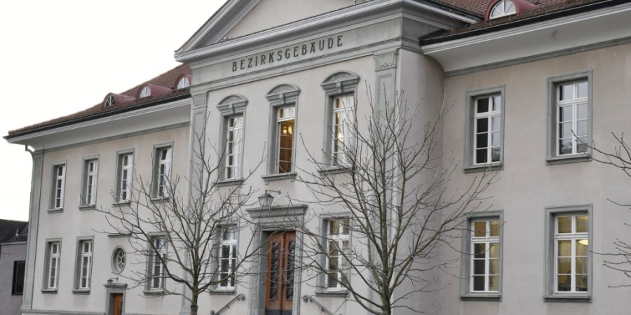 Ein Mann soll kranke Hundewelpen teuer verkauft haben. Nun steht er wegen gewerbsmässigen Betrugs in Bülach vor Gericht. (Archivbild)