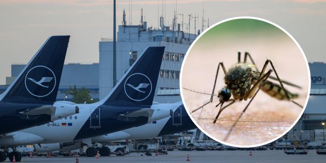 Malaria Flughafen Frankfurt