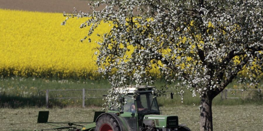 In Landwirtschaftsflächen entsteht auch das klimaschädliche Lachgas. (Symbolbild)