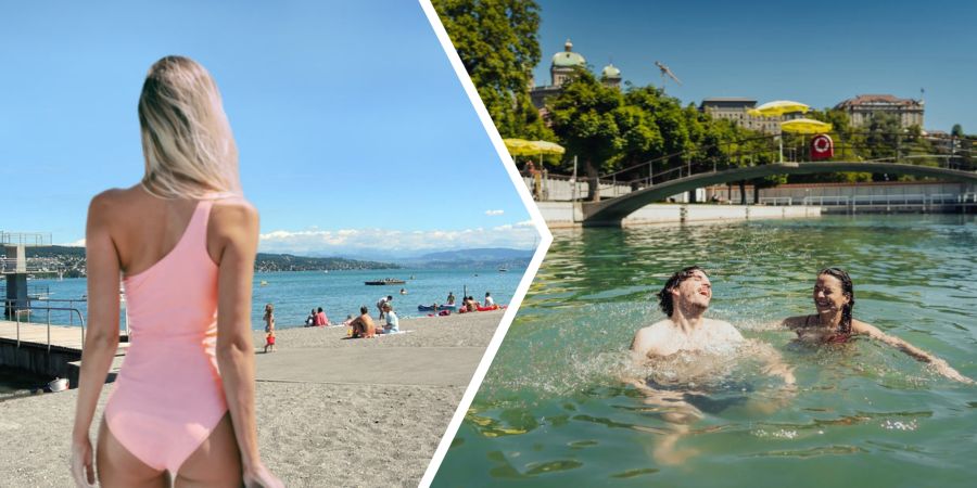 Schweizer Badis