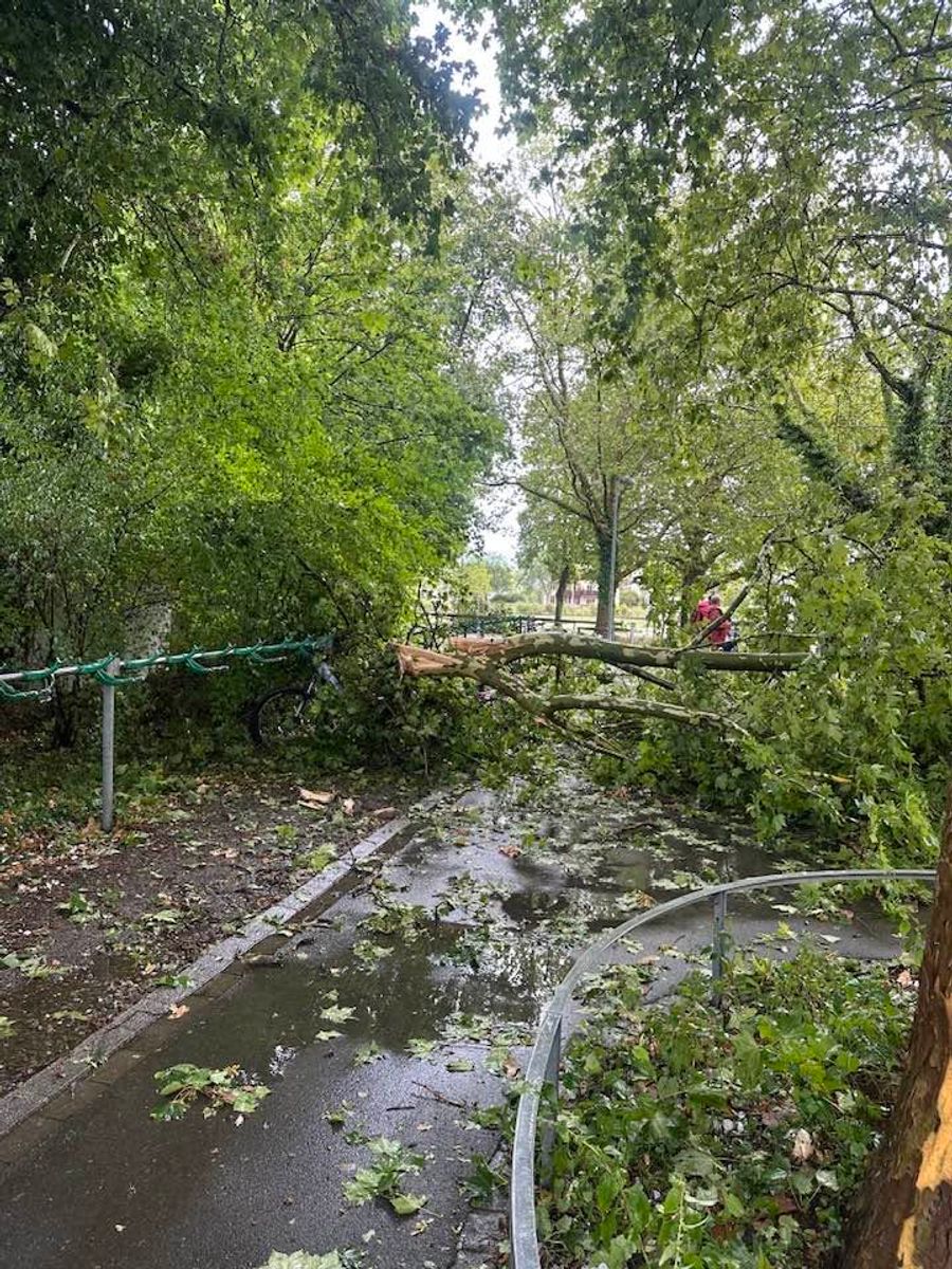 Ganze Wege wurden dadurch versperrt.