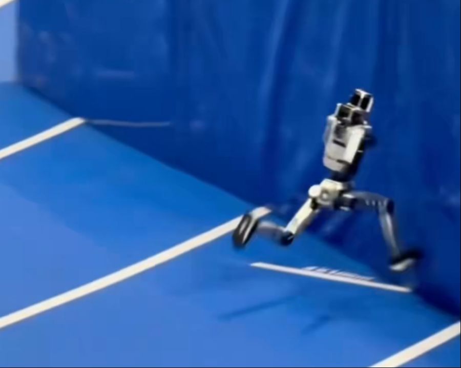 Auch ein anderer Roboter konnte beim Abbremsen nicht überzeugen.