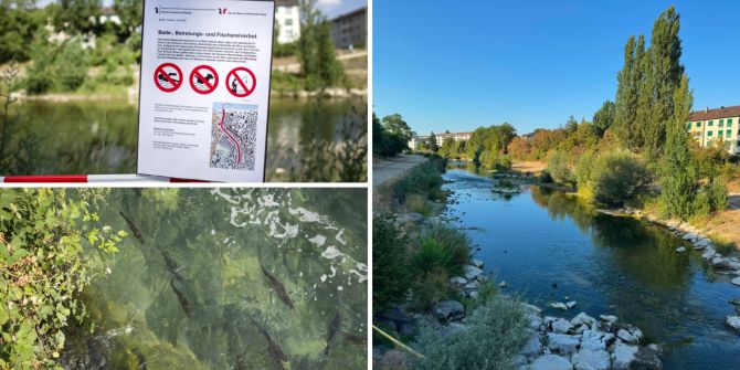 badeverbot birs basel