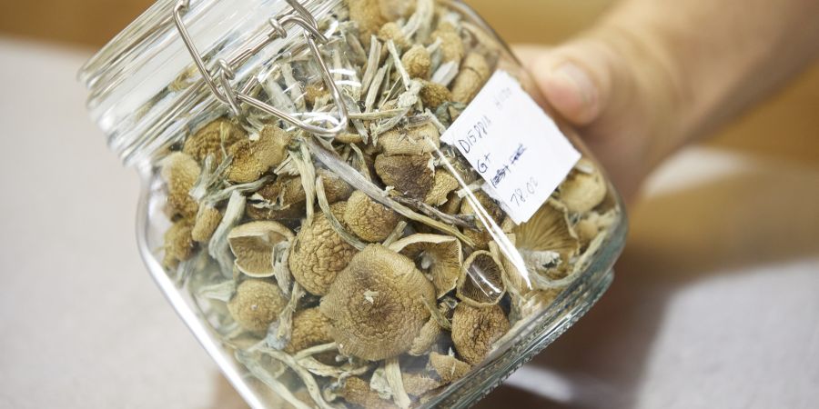Magic Mushrooms