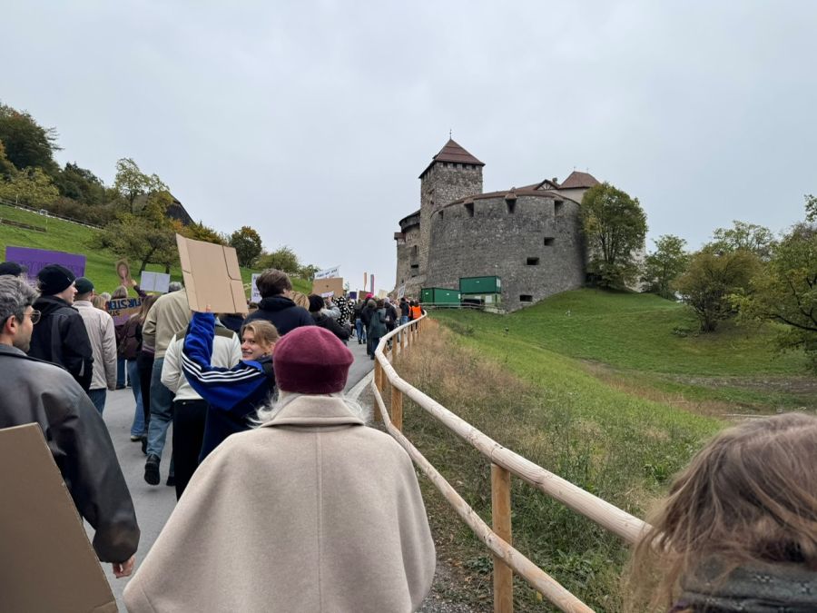 Die Menschen wehren sich gegen das Veto des Erbprinzen.