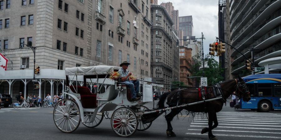 new york