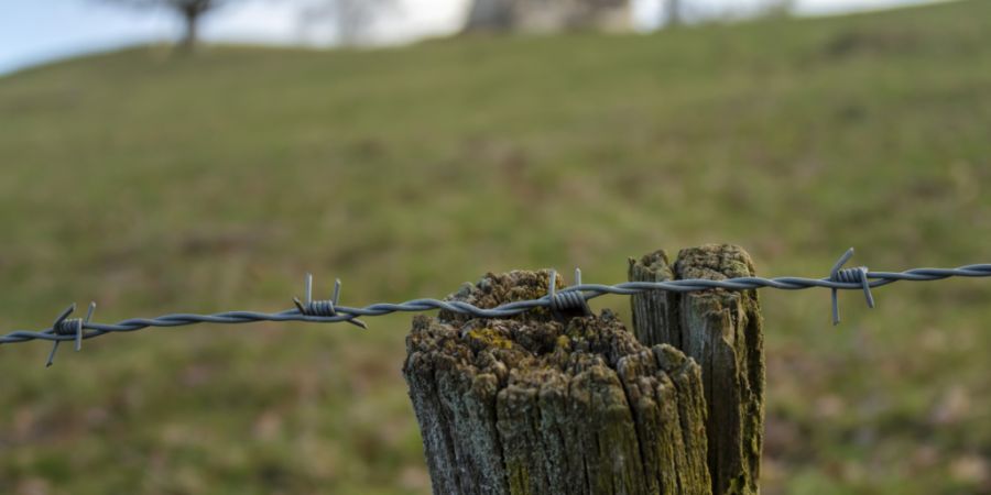 Einzäumungen mit Stacheldraht sollen im Kanton Thurgau verboten werden. (Symbolbild)