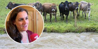 Grüne schockiert - Ständerat will flexiblere PFAS-Grenzwerte Grüne schockiert - Ständerat will flexiblere PFAS-Grenzwerte
