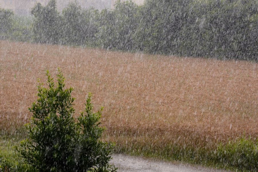 Die KI greift bei ihren Berechnungen auch auf Wetterdaten zurück. (Symbolbild)