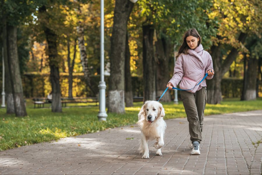 Frau Hund Park Spaziergang