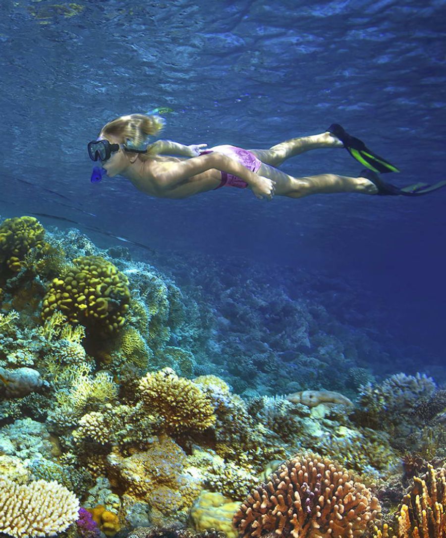 Insbesondere Unterwasserhighlights wie Schnorcheln und Tauchen sind bei den Touristinnen und Touristen angesagt.