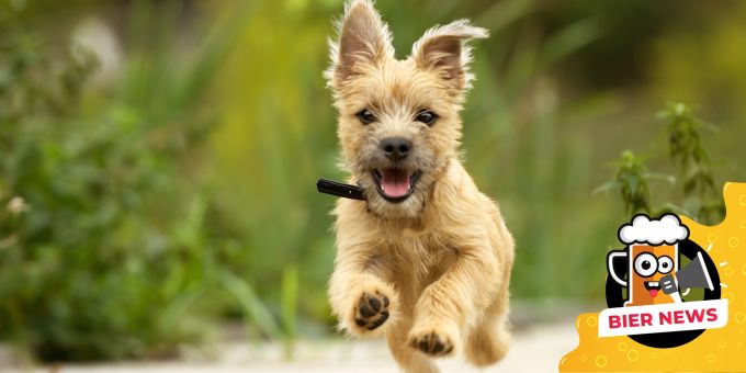 Unverschämt - Nachbar lässt Hund einfach in Garten laufen Unverschämt - Nachbar lässt Hund einfach in Garten laufen