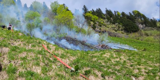 Studen SZ Brand