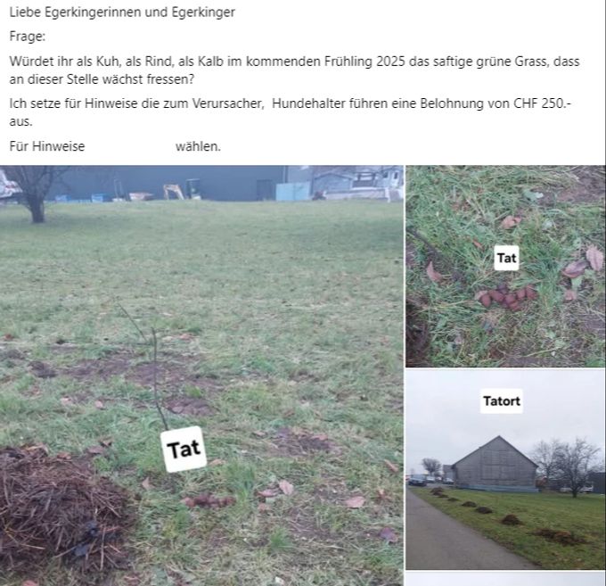 Egerkingen