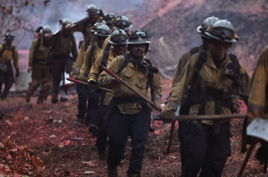 Die Feuer in Los Angeles zerstören ganze Wohnviertel.