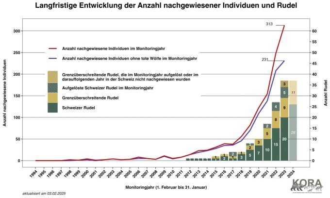 So entwickelte sich die Wolfspopulation in der Schweiz. wolf population wildhüter