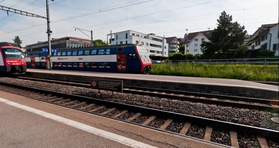 Daraufhin musste der Zugverkehr für eine Weile unterbrochen werden.