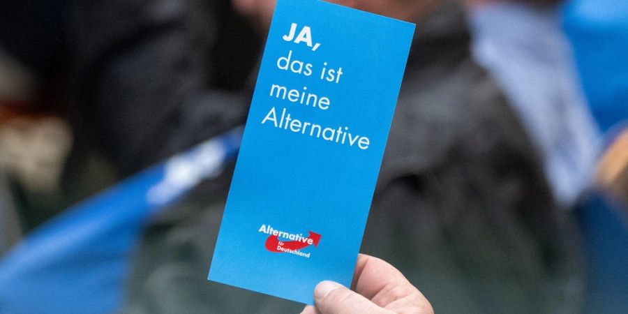 afd wahlumfrage