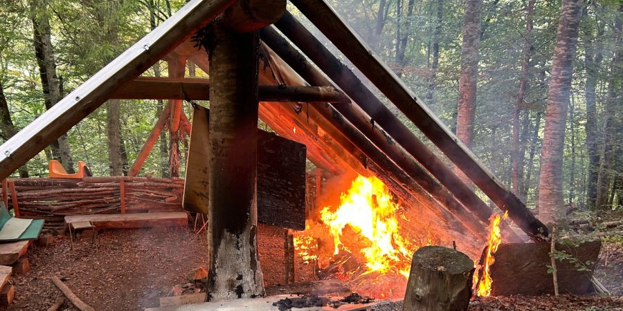 Brand von Waldhütte.