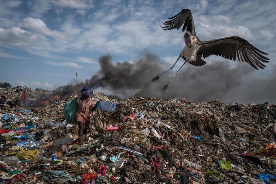 Textilmüll und Plastik auf der Dandora Mülldeponie in Nairobi mit Marabus.