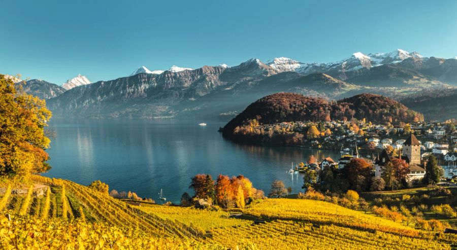 Herbstliches Panorama in Spiez.