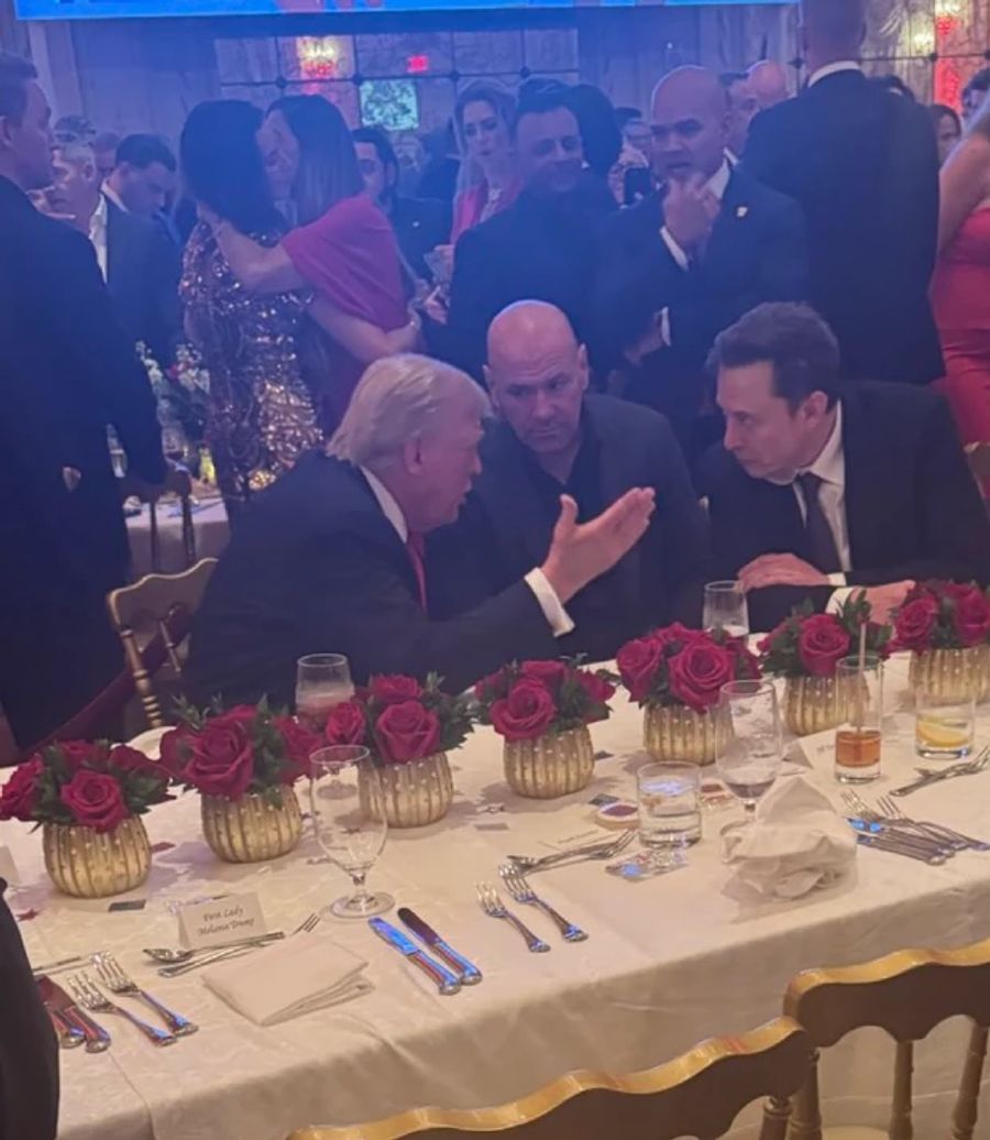 Donald Trump unterhält sich mit Multimilliardär Elon Musk.