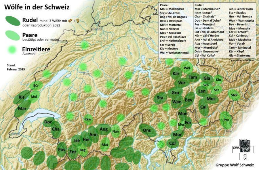 So sah der Wolfsbestand in der Schweiz im Februar 2023 aus.