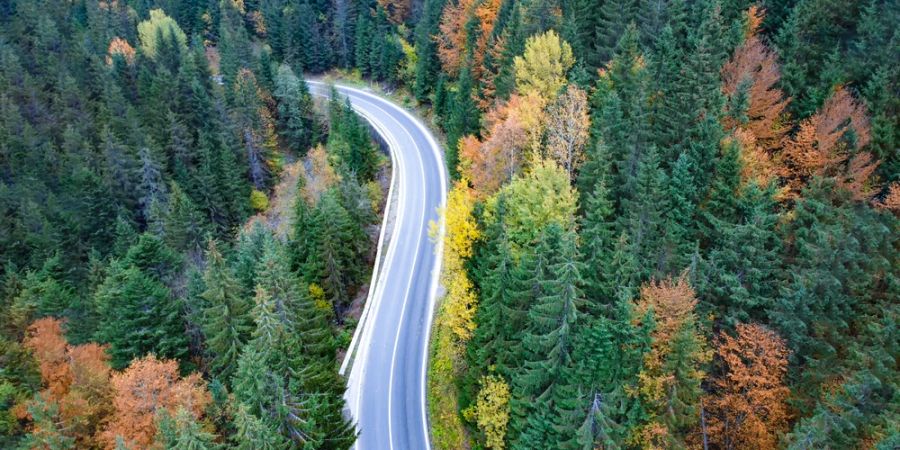 Strasse Wald Drohnenaufnahme